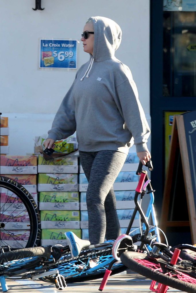 Katy Perry in a Gray Hoody
