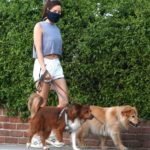 Aubrey Plaza in a Black Face Mask Walks Her Dogs in Los Angeles