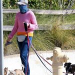 Calista Flockhart in a Bandana Mask Walks Her Dogs in Los Angeles