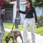 Doria Ragland in a Beige Pants Walks Her Dogs in Los Angeles