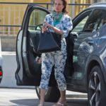 Andie MacDowell in a Bandana as a Face Mask Was Seen Out in Los Angeles