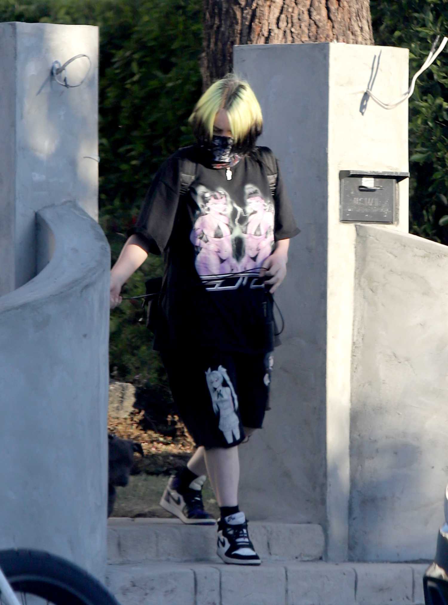 Billie Eilish in a Bandana as a Face Mask Walks Her Dog in Los Angeles