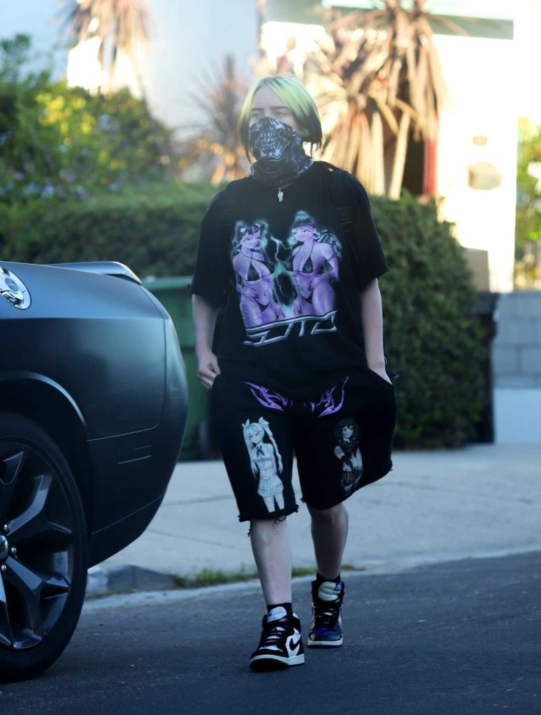 Billie Eilish in a Bandana as a Face Mask Walks Her Dog in Los Angeles