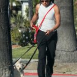Doria Ragland in a Black Pants Walks Her Dogs Near Her Home in Los Angeles