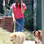 Aubrey Plaza in a Red Tee Walks Her Dogs in Los Feliz
