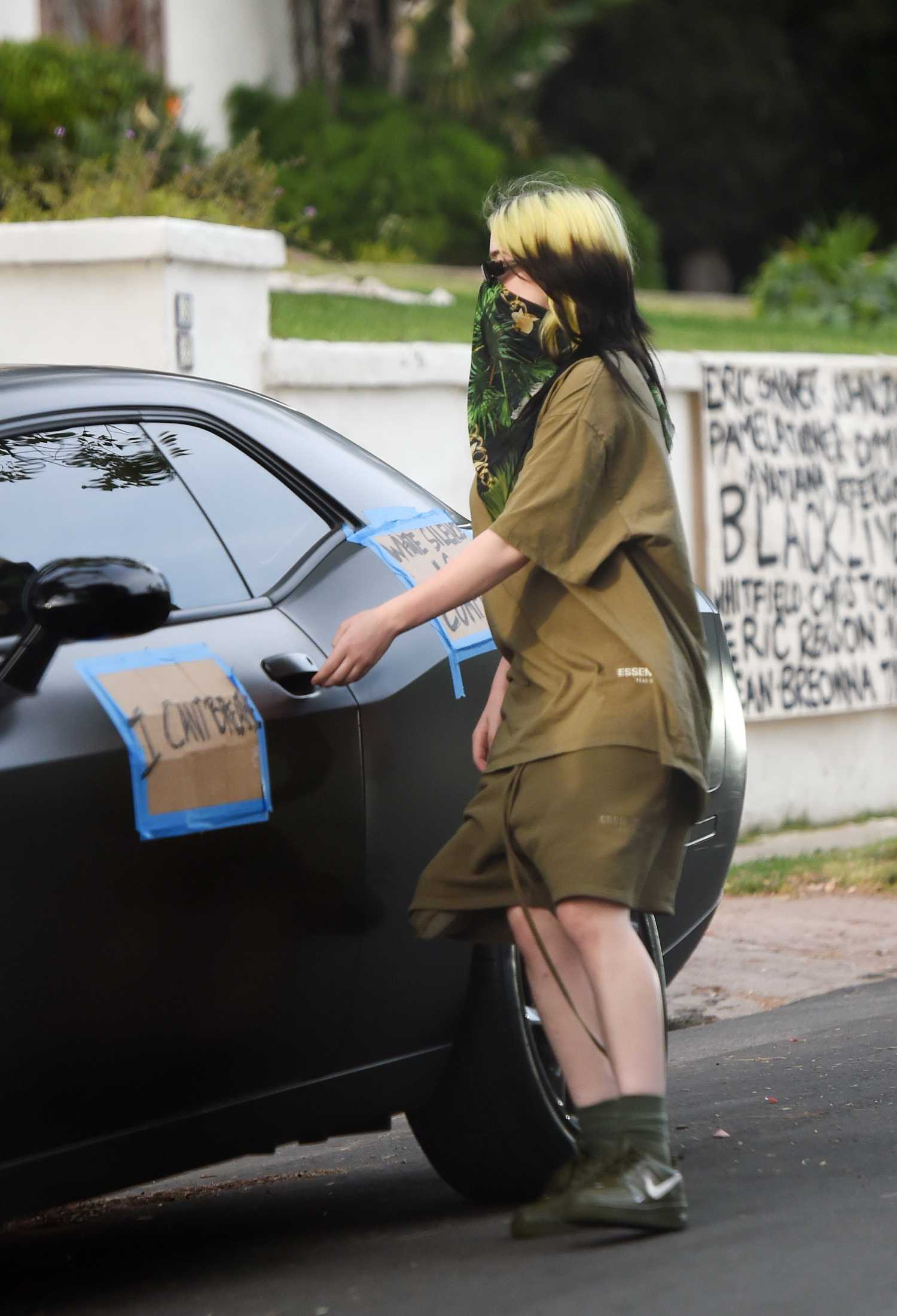 Billie Eilish in a Green Bandana as a Face Mask Walks Her Dog in Los