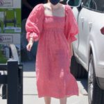 Dakota Fanning in a Red Checked Dress Was Seen Out in Los Angeles