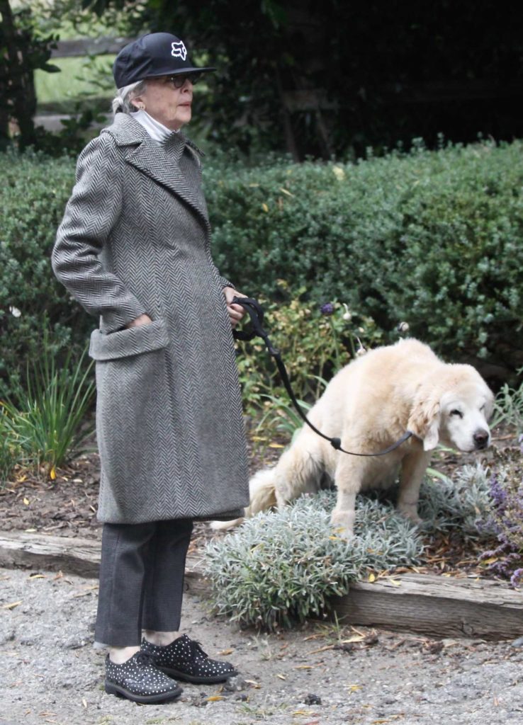 Diane Keaton in a Gray Wool Coat