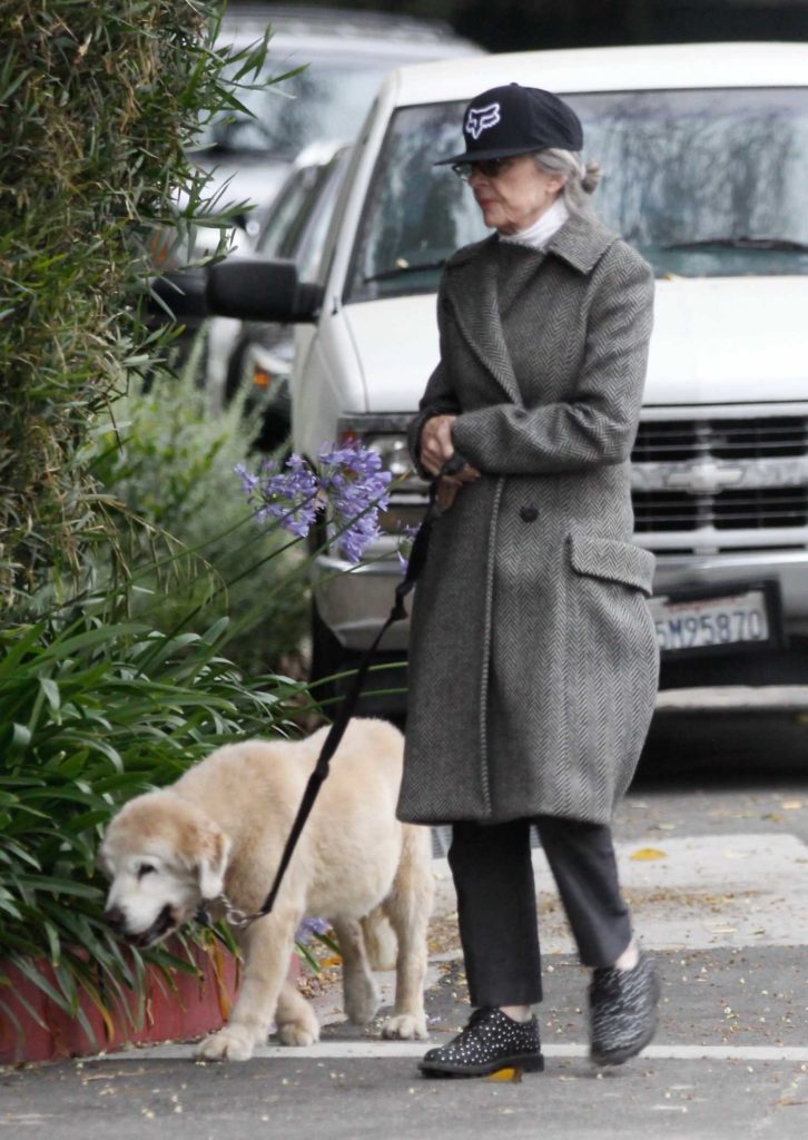 Diane Keaton in a Gray Wool Coat