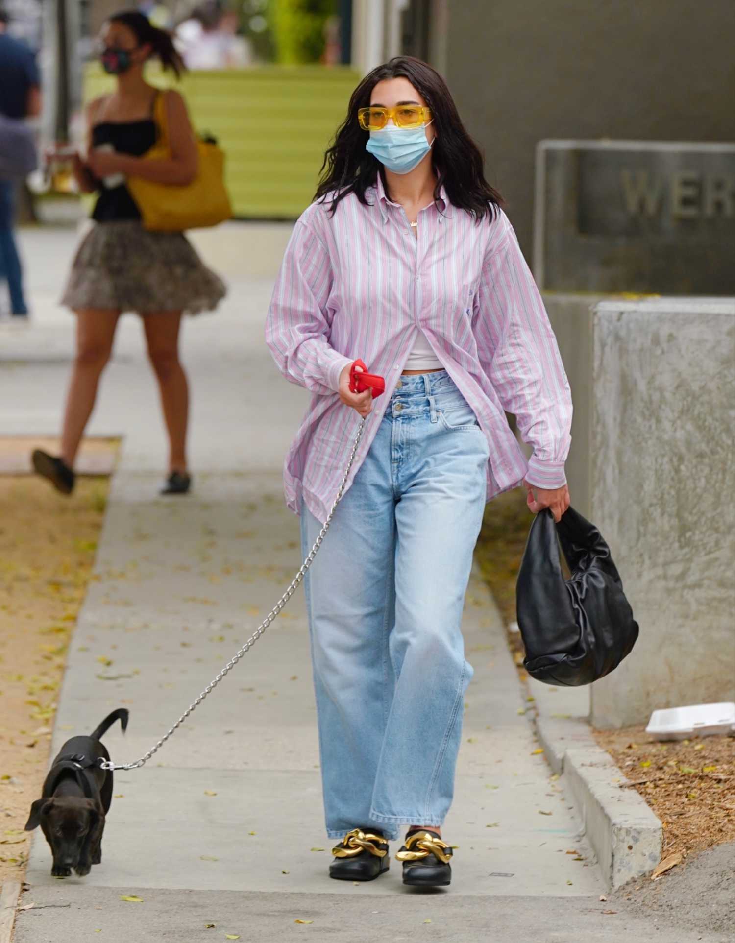 Dua Lipa in a Striped Shirt Walks Her Dog in West Hollywood – Celeb Donut