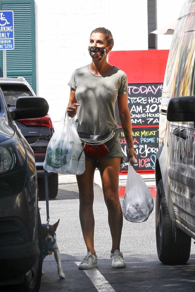 Elisabetta Canalis in a Gray Tee