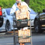Rebecca Gayheart in a Protective Mask Picks Up Some Groceries in Beverly Hills