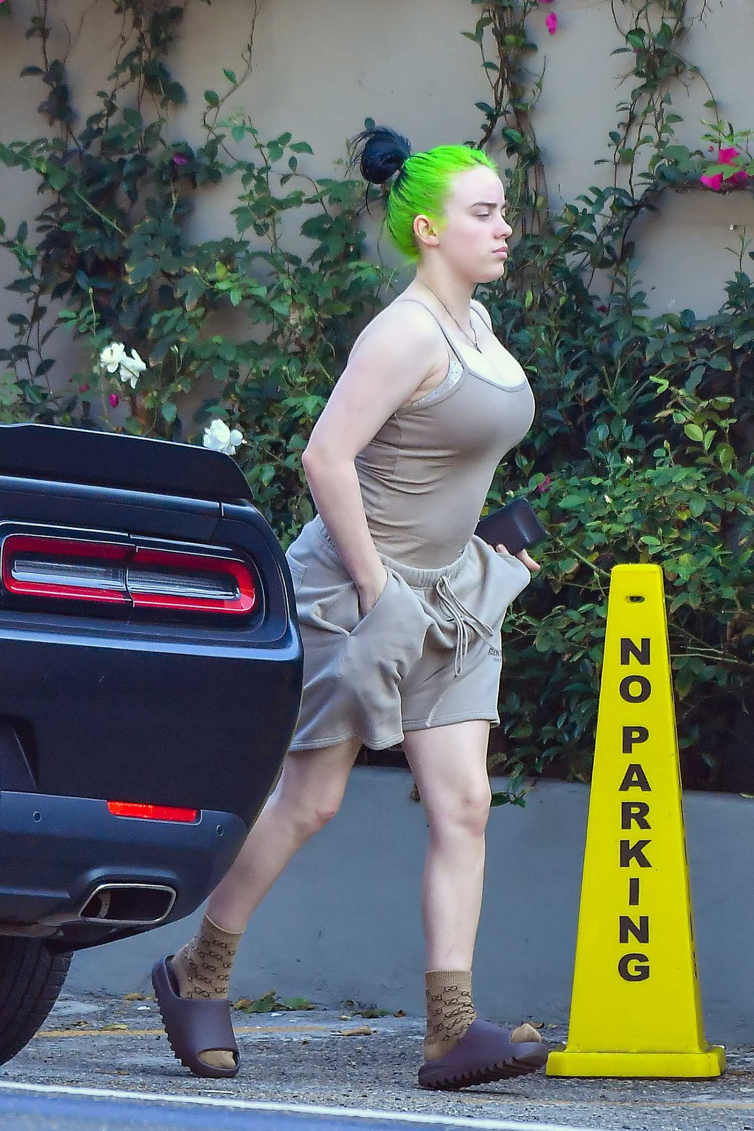 Billie Eilish Shows off Her Bright Green Hair Out in Los ...