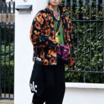 Iris Law Shows off Her Quirky Fashion Style Out in North London