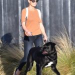 Robin Wright in an Orange Tee Walks Her Dog in Brentwood