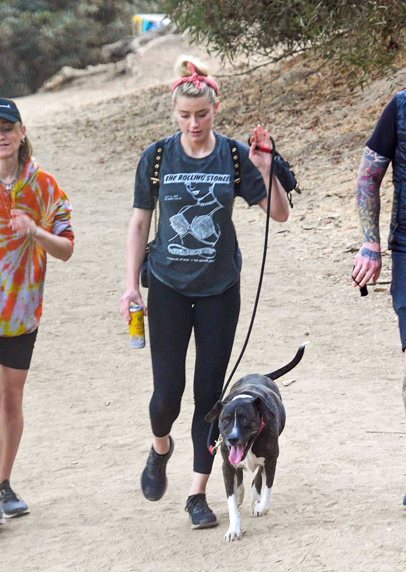 Amber Heard in a Black Leggings Walks Her Dog in Los Angeles – Celeb Donut