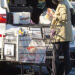 Ashlee Simpson in a Black Protective Mask Goes Grocery Shopping in Encino
