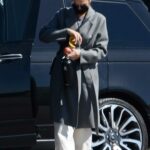 Gal Gadot in a Grey Coat Was Seen Out in Los Angeles