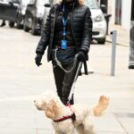 Rachel Johnson in a Grey Knit Hat Walks Her Dog in London