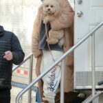 Selena Gomez Was Spotted with Her Puppy on the Set of Only Murders in the Building in New York City