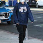 Jaimie Alexander in a Blue Hoodie Was Seen Out in Santa Monica