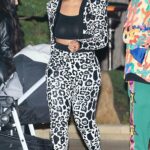 Jordyn Woods in an Animal Print Outfit Was Seen Out in Malibu