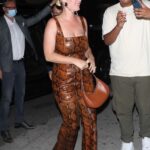 Katy Perry in a Brown Snakeskin Print Jumpsuit Arrives at The Nice Guy in West Hollywood