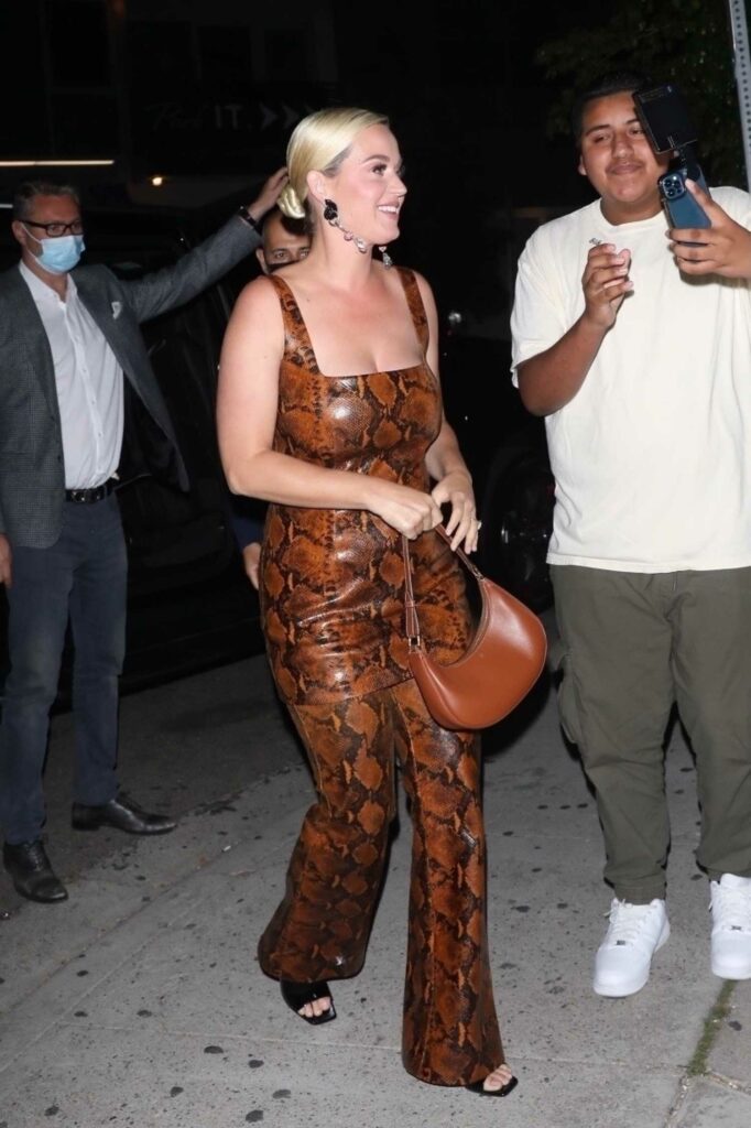 Katy Perry in a Brown Snakeskin Print Jumpsuit