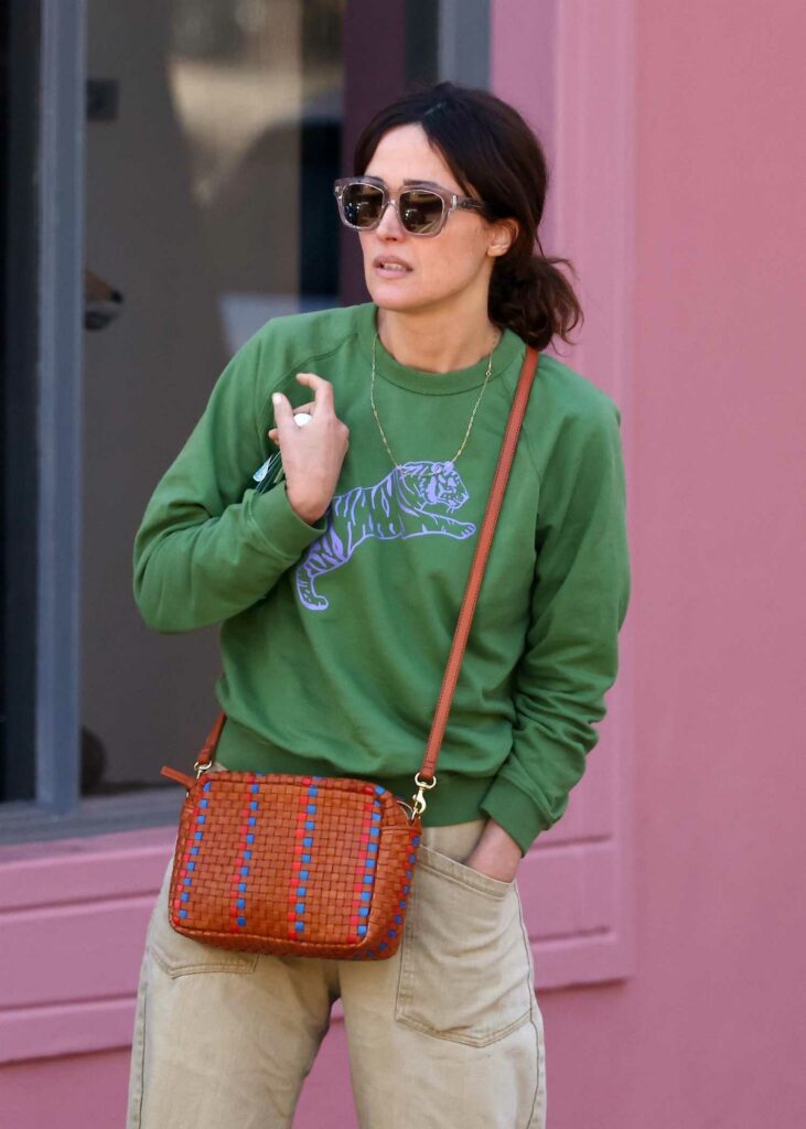 Rose Byrne in a Green Sweatshirt