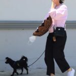 Sarah Paulson in a White Sneakers Walks Her Dog in Los Angeles