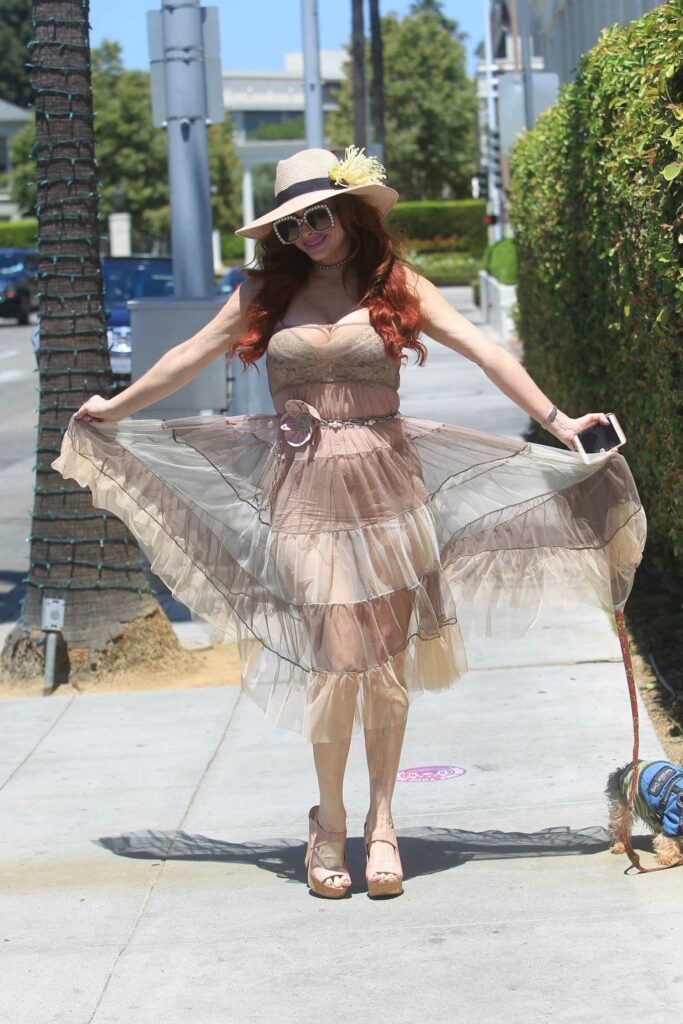 Phoebe Price in a See-Through Dress