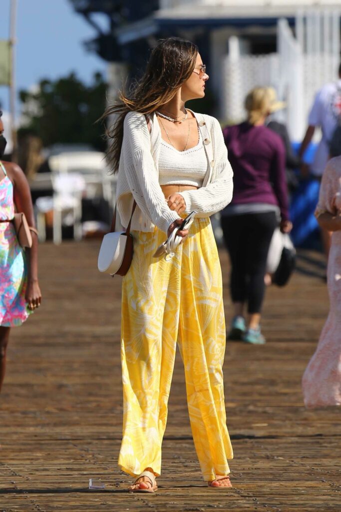 Alessandra Ambrosio in a Yellow Pants