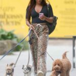 Alexandra Burke in an Animal Print Pants Walks Her Dogs in London