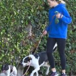 Ava Phillippe in a Blue Hoodie Walks with Her Two Pups in Los Angeles