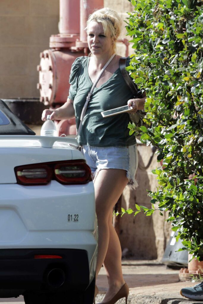 Britney Spears in an Olive Blouse