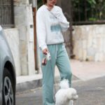Lucy Hale in a White Sweatshirt Walks Her Dog in Los Angeles