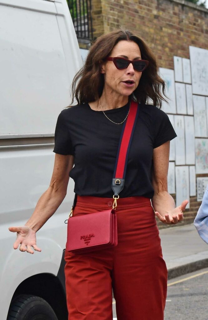 Minnie Driver in a Red Pants