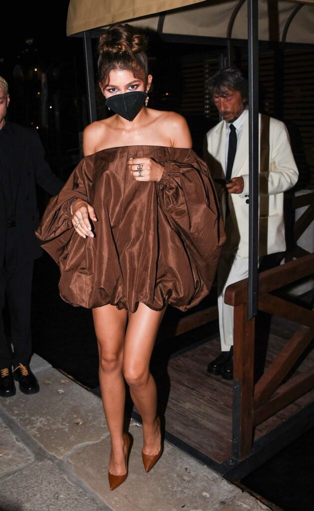 Zendaya in a Brown Dress