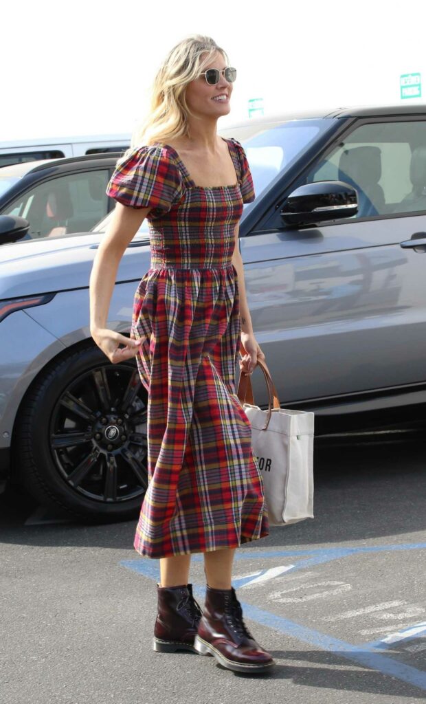 Amanda Kloots in a Plaid Dress