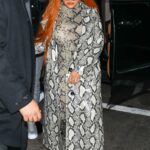 Christina Aguilera in a Snakeskin Print Outfit Arrives to Her Party Pa Las Muchachas in Los Angeles