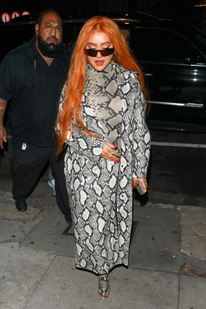 Christina Aguilera in a Snakeskin Print Outfit
