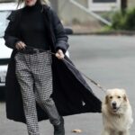 Diane Keaton in a Black Puffer Coat Takes Her Golden Retriever for a Walk in Brentwood