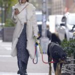 Emily Ratajkowski in a White Sheepskin Coat Walks Her Dog in Tribeca In New York City