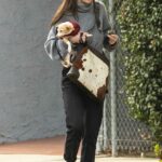Scout Willis in a Grey Turtleneck Brings Her Dog to a Meeting with a Friend in Silver Lake