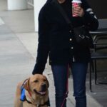 Selma Blair in a Black Cardigan Was Spotted with Her New Service dog Scout in Beverly Hills