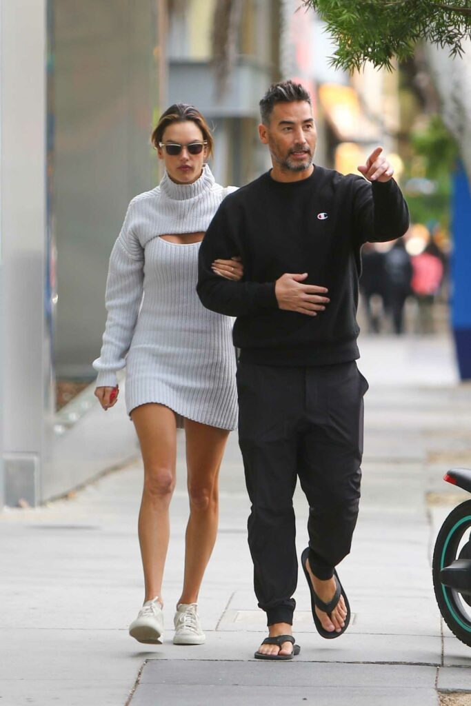 Alessandra Ambrosio in a Grey Knitted Dress