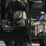 Amy Adams in a Green Protective Mask Stocks Up on Groceries for NYE Party in Beverly Hills