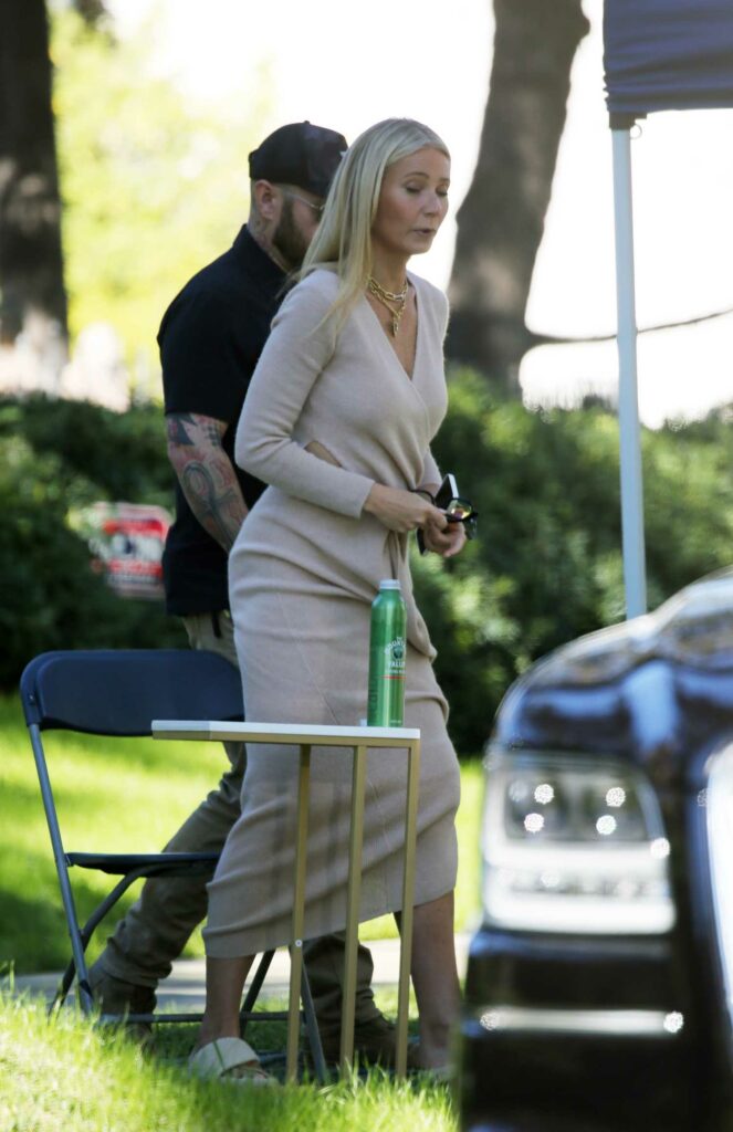 Gwyneth Paltrow in a Beige Dress