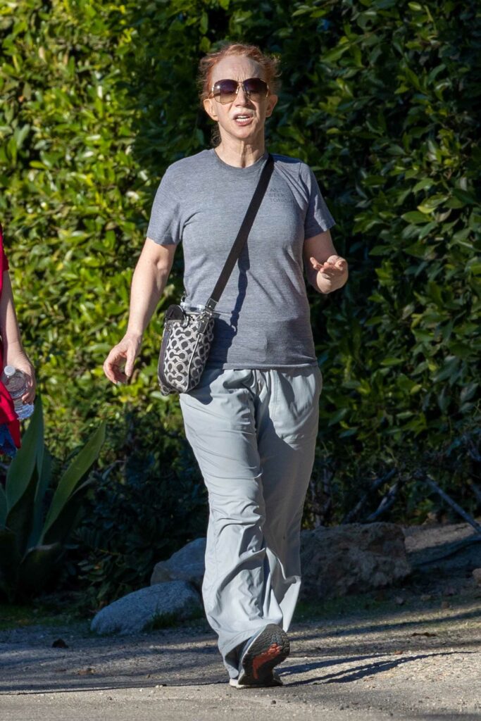 Kathy Griffin in a Grey Tee