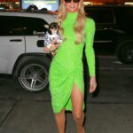 Paris Hilton in a Green Dress Arriving Home Wearing Dog in New York